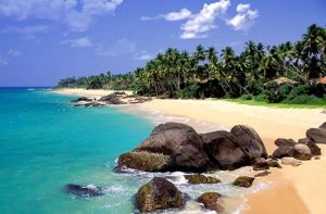 Round tour (14 days/13 nights sri lankan riders