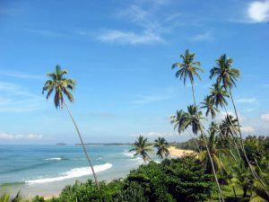 Mirissa - South coast beaches Sri Lanka - Sri Lankan riders Tours 
