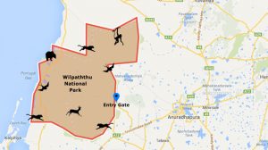 Willpattu National Park sri lanka