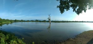 Udawalawa national park birds day tour sri lankan riders elephants