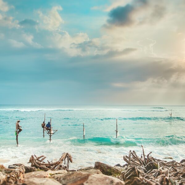 Daria dyachenko D TI9Zww3O0 unsplash (4)