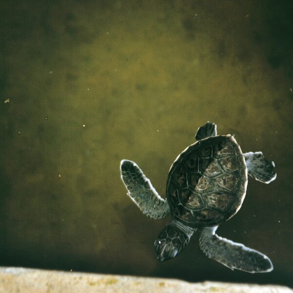 Drew farwell DpwoFJMqfpo unsplash (1)