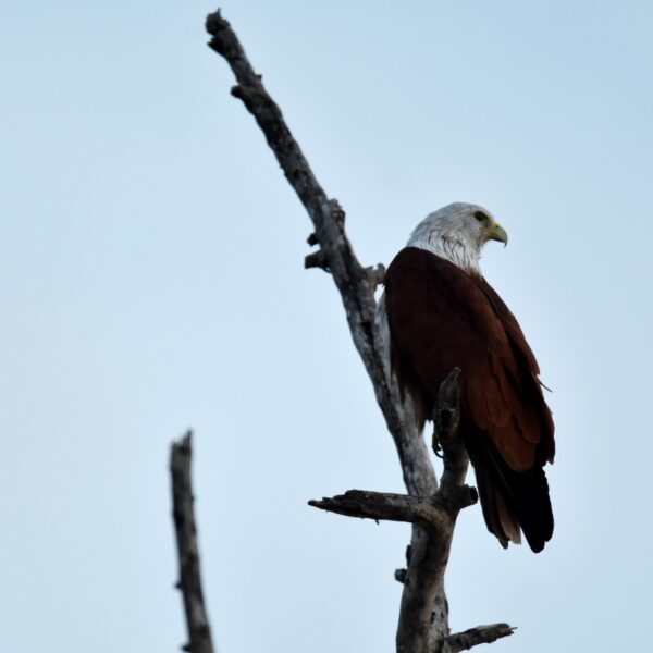 Kumana national park with srilankan Riders