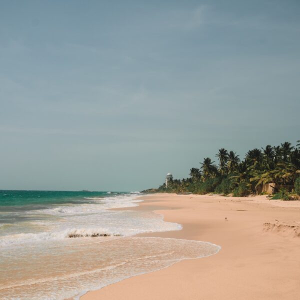 Galle day tour with sri lankan riders