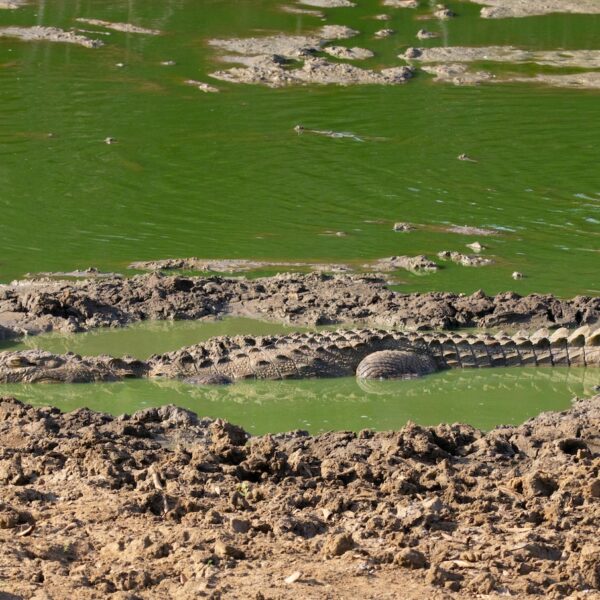 Wild life tours with sri lankan riders