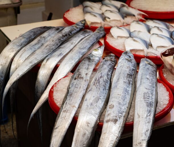 harrison-chang-cZRx0XTpmko-unsplash harrison-chang-cZRx0XTpmko-unsplash