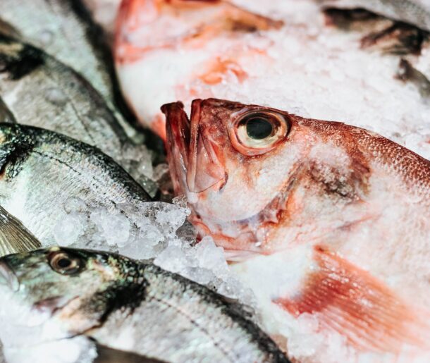 micheile-henderson-vE5xNgwfAAw-unsplash micheile-henderson-vE5xNgwfAAw-unsplash