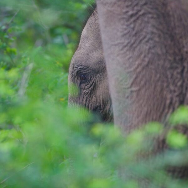 hurulu park with Sri lankan riders Hurulu park with Sri lankan riders