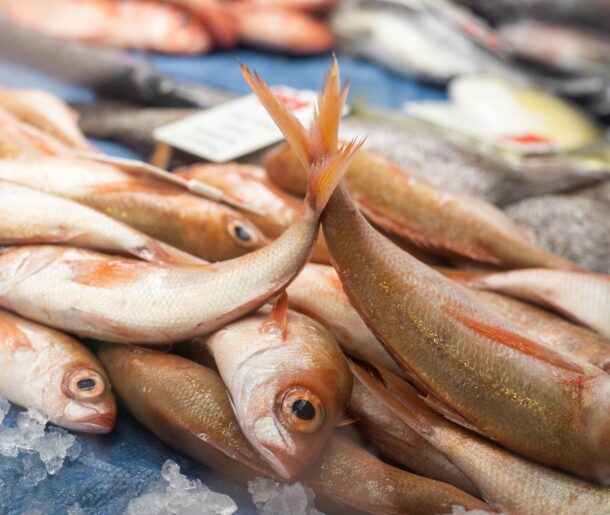 mitchell-luo-rh4T8cULUiM-unsplash mitchell-luo-rh4T8cULUiM-unsplash