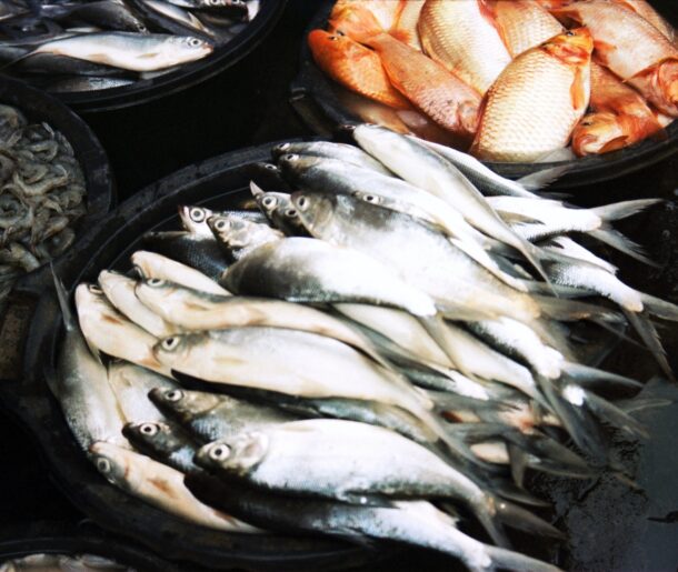 prabarisma-dewantara-jUQm-Agy040-unsplash (1) prabarisma-dewantara-jUQm-Agy040-unsplash (1)