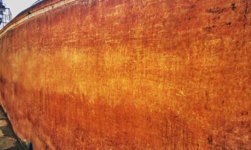 UNESCO site with sri lankan riders