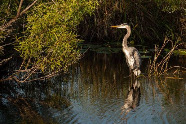 Wasgamuwa national park sri lankan riders