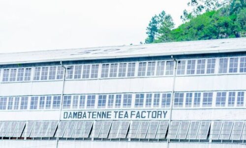 tea factory srilanka