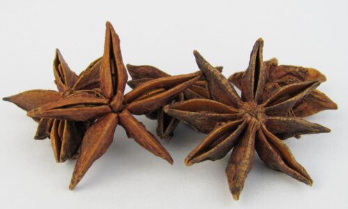 sri lankan riders blogs