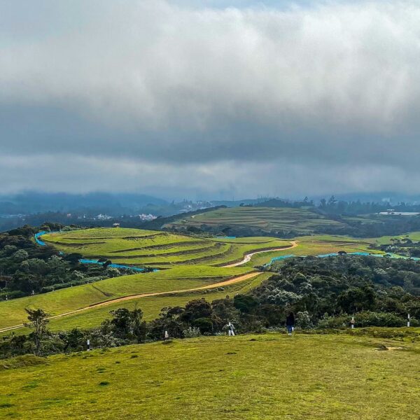 Grasslands Flora and fauna srilanka