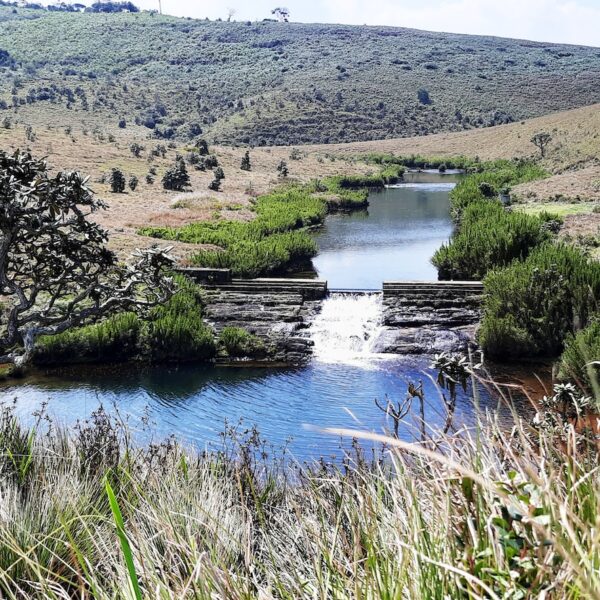 Nuwara eliya sri lankan riders