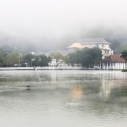 kandy day tour kandy day tour